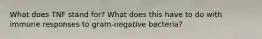 What does TNF stand for? What does this have to do with immune responses to gram-negative bacteria?