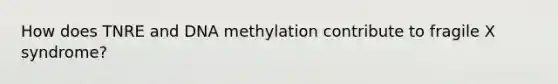 How does TNRE and DNA methylation contribute to fragile X syndrome?