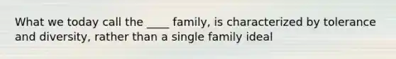 What we today call the ____ family, is characterized by tolerance and diversity, rather than a single family ideal