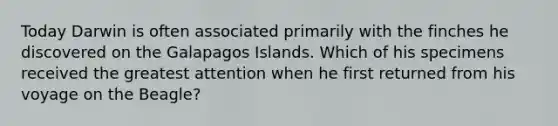 Today Darwin is often associated primarily with the finches he discovered on the Galapagos Islands. Which of his specimens received the greatest attention when he first returned from his voyage on the Beagle?