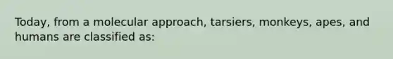 Today, from a molecular approach, tarsiers, monkeys, apes, and humans are classified as:​