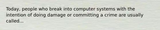 Today, people who break into computer systems with the intention of doing damage or committing a crime are usually called...