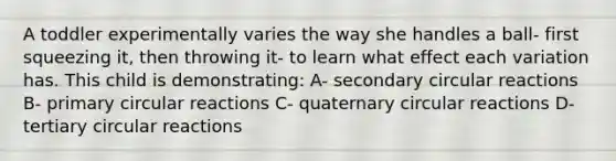 A toddler experimentally varies the way she handles a ball- first squeezing it, then throwing it- to learn what effect each variation has. This child is demonstrating: A- secondary circular reactions B- primary circular reactions C- quaternary circular reactions D- tertiary circular reactions