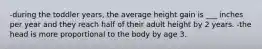 -during the toddler years, the average height gain is ___ inches per year and they reach half of their adult height by 2 years. -the head is more proportional to the body by age 3.