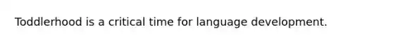 Toddlerhood is a critical time for language development.