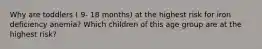 Why are toddlers ( 9- 18 months) at the highest risk for iron deficiency anemia? Which children of this age group are at the highest risk?