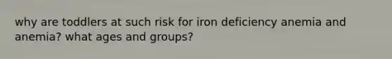 why are toddlers at such risk for iron deficiency anemia and anemia? what ages and groups?