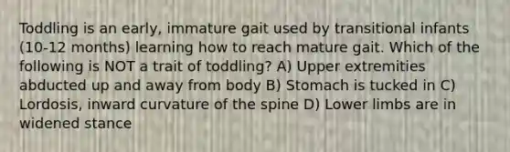 Toddling is an early, immature gait used by transitional infants (10-12 months) learning how to reach mature gait. Which of the following is NOT a trait of toddling? A) Upper extremities abducted up and away from body B) Stomach is tucked in C) Lordosis, inward curvature of the spine D) Lower limbs are in widened stance