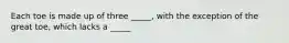 Each toe is made up of three _____, with the exception of the great toe, which lacks a _____