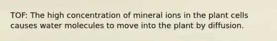 TOF: The high concentration of mineral ions in the plant cells causes water molecules to move into the plant by diffusion.