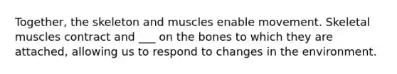 Together, the skeleton and muscles enable movement. Skeletal muscles contract and ___ on the bones to which they are attached, allowing us to respond to changes in the environment.