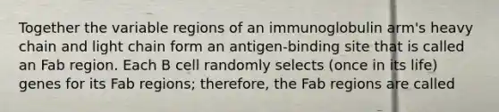 Together the variable regions of an immunoglobulin arm's heavy chain and light chain form an antigen-binding site that is called an Fab region. Each B cell randomly selects (once in its life) genes for its Fab regions; therefore, the Fab regions are called