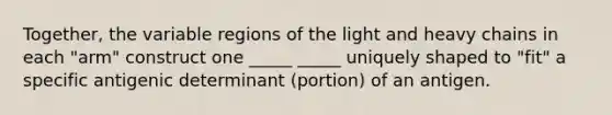 Together, the variable regions of the light and heavy chains in each "arm" construct one _____ _____ uniquely shaped to "fit" a specific antigenic determinant (portion) of an antigen.