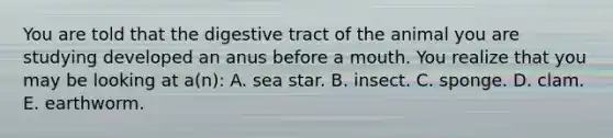 You are told that the digestive tract of the animal you are studying developed an anus before a mouth. You realize that you may be looking at a(n): A. sea star. B. insect. C. sponge. D. clam. E. earthworm.