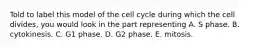 Told to label this model of the cell cycle during which the cell divides, you would look in the part representing A. S phase. B. cytokinesis. C. G1 phase. D. G2 phase. E. mitosis.