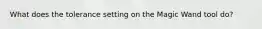 What does the tolerance setting on the Magic Wand tool do?