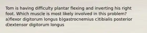 Tom is having difficulty plantar flexing and inverting his right foot. Which muscle is most likely involved in this problem? a)flexor digitorum longus b)gastrocnemius c)tibialis posterior d)extensor digitorum longus