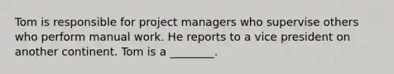 Tom is responsible for project managers who supervise others who perform manual work. He reports to a vice president on another continent. Tom is a ________.