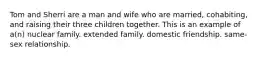 Tom and Sherri are a man and wife who are married, cohabiting, and raising their three children together. This is an example of a(n) nuclear family. extended family. domestic friendship. same-sex relationship.