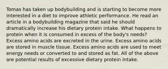 Tomas has taken up bodybuilding and is starting to become more interested in a diet to improve athletic performance. He read an article in a bodybuilding magazine that said he should dramatically increase his dietary protein intake. What happens to protein when it is consumed in excess of the body's needs? Excess amino acids are excreted in the urine. Excess amino acids are stored in muscle tissue. Excess amino acids are used to meet energy needs or converted to and stored as fat. All of the above are potential results of excessive dietary protein intake.