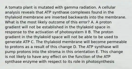 A tomato plant is mutated with gamma radiation. A cellular analysis reveals that ATP synthase complexes found in the thylakoid membrane are inserted backwards into the membrane. What is the most likely outcome of this error? A. A proton gradient will not be established in the thylakoid space in response to the activation of photosystem II B. The proton gradient in the thylakoid space will not be able to be used to generate ATP C. The thylakoid membrane will become permeable to protons as a result of this change D. The ATP synthase will pump protons into the stroma in this orientation E. This change is not likely to have any effect on the function of the ATP synthase enzyme with respect to its role in photosynthesis