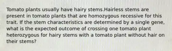 Tomato plants usually have hairy stems.Hairless stems are present in tomato plants that are homozygous recessive for this trait. If the stem characteristics are determined by a single gene, what is the expected outcome of crossing one tomato plant heterozygous for hairy stems with a tomato plant without hair on their stems?