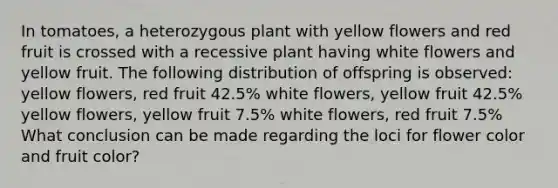 In tomatoes, a heterozygous plant with yellow flowers and red fruit is crossed with a recessive plant having white flowers and yellow fruit. The following distribution of offspring is observed: yellow flowers, red fruit 42.5% white flowers, yellow fruit 42.5% yellow flowers, yellow fruit 7.5% white flowers, red fruit 7.5% What conclusion can be made regarding the loci for flower color and fruit color?