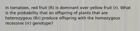 In tomatoes, red fruit (R) is dominant over yellow fruit (r). What is the probability that an offspring of plants that are heterozygous (Rr) produce offspring with the homozygous recessive (rr) genotype?