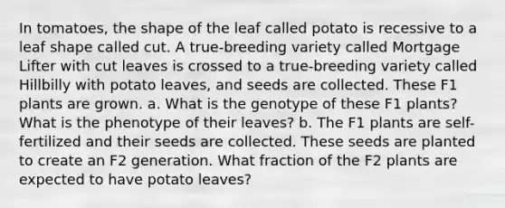 In tomatoes, the shape of the leaf called potato is recessive to a leaf shape called cut. A true-breeding variety called Mortgage Lifter with cut leaves is crossed to a true-breeding variety called Hillbilly with potato leaves, and seeds are collected. These F1 plants are grown. a. What is the genotype of these F1 plants? What is the phenotype of their leaves? b. The F1 plants are self-fertilized and their seeds are collected. These seeds are planted to create an F2 generation. What fraction of the F2 plants are expected to have potato leaves?