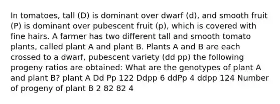 In tomatoes, tall (D) is dominant over dwarf (d), and smooth fruit (P) is dominant over pubescent fruit (p), which is covered with fine hairs. A farmer has two different tall and smooth tomato plants, called plant A and plant B. Plants A and B are each crossed to a dwarf, pubescent variety (dd pp) the following progeny ratios are obtained: What are the genotypes of plant A and plant B? plant A Dd Pp 122 Ddpp 6 ddPp 4 ddpp 124 Number of progeny of plant B 2 82 82 4