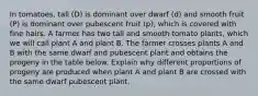 In tomatoes, tall (D) is dominant over dwarf (d) and smooth fruit (P) is dominant over pubescent fruit (p), which is covered with fine hairs. A farmer has two tall and smooth tomato plants, which we will call plant A and plant B. The farmer crosses plants A and B with the same dwarf and pubescent plant and obtains the progeny in the table below. Explain why different proportions of progeny are produced when plant A and plant B are crossed with the same dwarf pubescent plant.