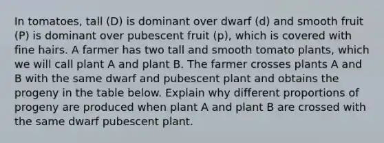 In tomatoes, tall (D) is dominant over dwarf (d) and smooth fruit (P) is dominant over pubescent fruit (p), which is covered with fine hairs. A farmer has two tall and smooth tomato plants, which we will call plant A and plant B. The farmer crosses plants A and B with the same dwarf and pubescent plant and obtains the progeny in the table below. Explain why different proportions of progeny are produced when plant A and plant B are crossed with the same dwarf pubescent plant.