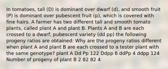 In tomatoes, tall (D) is dominant over dwarf (d), and smooth fruit (P) is dominant over pubescent fruit (p), which is covered with fine hairs. A farmer has two different tall and smooth tomato plants, called plant A and plant B. Plants A and B are each crossed to a dwarf, pubescent variety (dd pp) the following progeny ratios are obtained: Why are the progeny ratios different when plant A and plant B are each crossed to a tester plant with the same genotype? plant A Dd Pp 122 Ddpp 6 ddPp 4 ddpp 124 Number of progeny of plant B 2 82 82 4