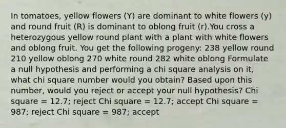 In tomatoes, yellow flowers (Y) are dominant to white flowers (y) and round fruit (R) is dominant to oblong fruit (r).You cross a heterozygous yellow round plant with a plant with white flowers and oblong fruit. You get the following progeny: 238 yellow round 210 yellow oblong 270 white round 282 white oblong Formulate a null hypothesis and performing a chi square analysis on it, what chi square number would you obtain? Based upon this number, would you reject or accept your null hypothesis? Chi square = 12.7; reject Chi square = 12.7; accept Chi square = 987; reject Chi square = 987; accept