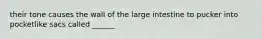 their tone causes the wall of the large intestine to pucker into pocketlike sacs called ______