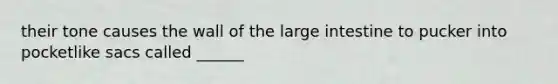 their tone causes the wall of the large intestine to pucker into pocketlike sacs called ______