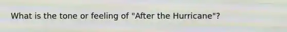 What is the tone or feeling of "After the Hurricane"?