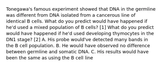 Tonegawa's famous experiment showed that DNA in the germline was different from DNA isolated from a cancerous line of identical B cells. What do you predict would have happened if he'd used a mixed population of B cells? [1] What do you predict would have happened if he'd used developing thymocytes in the DN1 stage? [2] A. His probe would've detected many bands in the B cell population. B. He would have observed no difference between germline and somatic DNA. C. His results would have been the same as using the B cell line