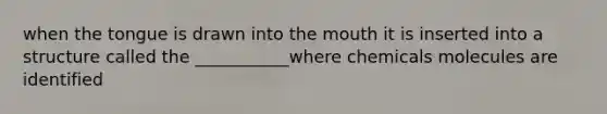 when the tongue is drawn into the mouth it is inserted into a structure called the ___________where chemicals molecules are identified