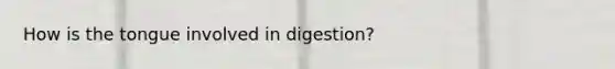 How is the tongue involved in digestion?