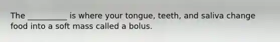 The __________ is where your tongue, teeth, and saliva change food into a soft mass called a bolus.