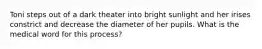 Toni steps out of a dark theater into bright sunlight and her irises constrict and decrease the diameter of her pupils. What is the medical word for this process?