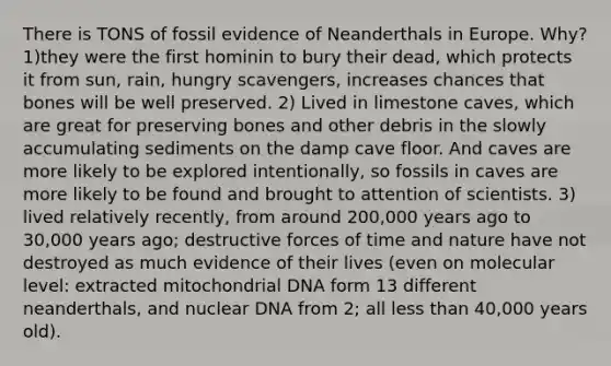 There is TONS of fossil evidence of Neanderthals in Europe. Why? 1)they were the first hominin to bury their dead, which protects it from sun, rain, hungry scavengers, increases chances that bones will be well preserved. 2) Lived in limestone caves, which are great for preserving bones and other debris in the slowly accumulating sediments on the damp cave floor. And caves are more likely to be explored intentionally, so fossils in caves are more likely to be found and brought to attention of scientists. 3) lived relatively recently, from around 200,000 years ago to 30,000 years ago; destructive forces of time and nature have not destroyed as much evidence of their lives (even on molecular level: extracted mitochondrial DNA form 13 different neanderthals, and nuclear DNA from 2; all less than 40,000 years old).