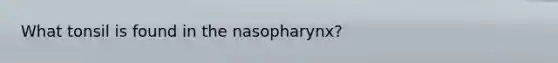 What tonsil is found in the nasopharynx?