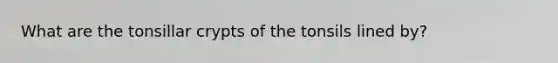 What are the tonsillar crypts of the tonsils lined by?