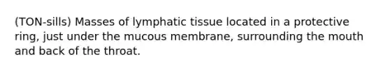 (TON-sills) Masses of lymphatic tissue located in a protective ring, just under the mucous membrane, surrounding the mouth and back of the throat.