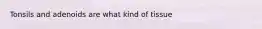 Tonsils and adenoids are what kind of tissue