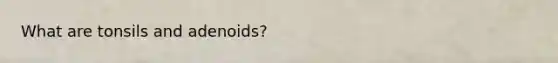 What are tonsils and adenoids?