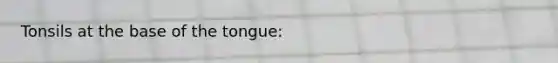 Tonsils at the base of the tongue: