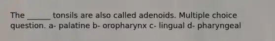 The ______ tonsils are also called adenoids. Multiple choice question. a- palatine b- oropharynx c- lingual d- pharyngeal